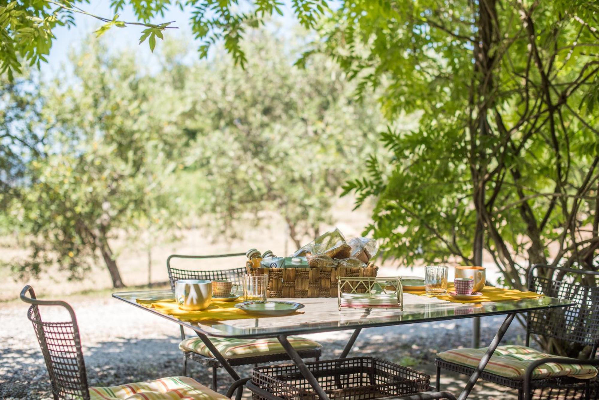 Glicine Apartment Podere Giardino Montalcino Dış mekan fotoğraf