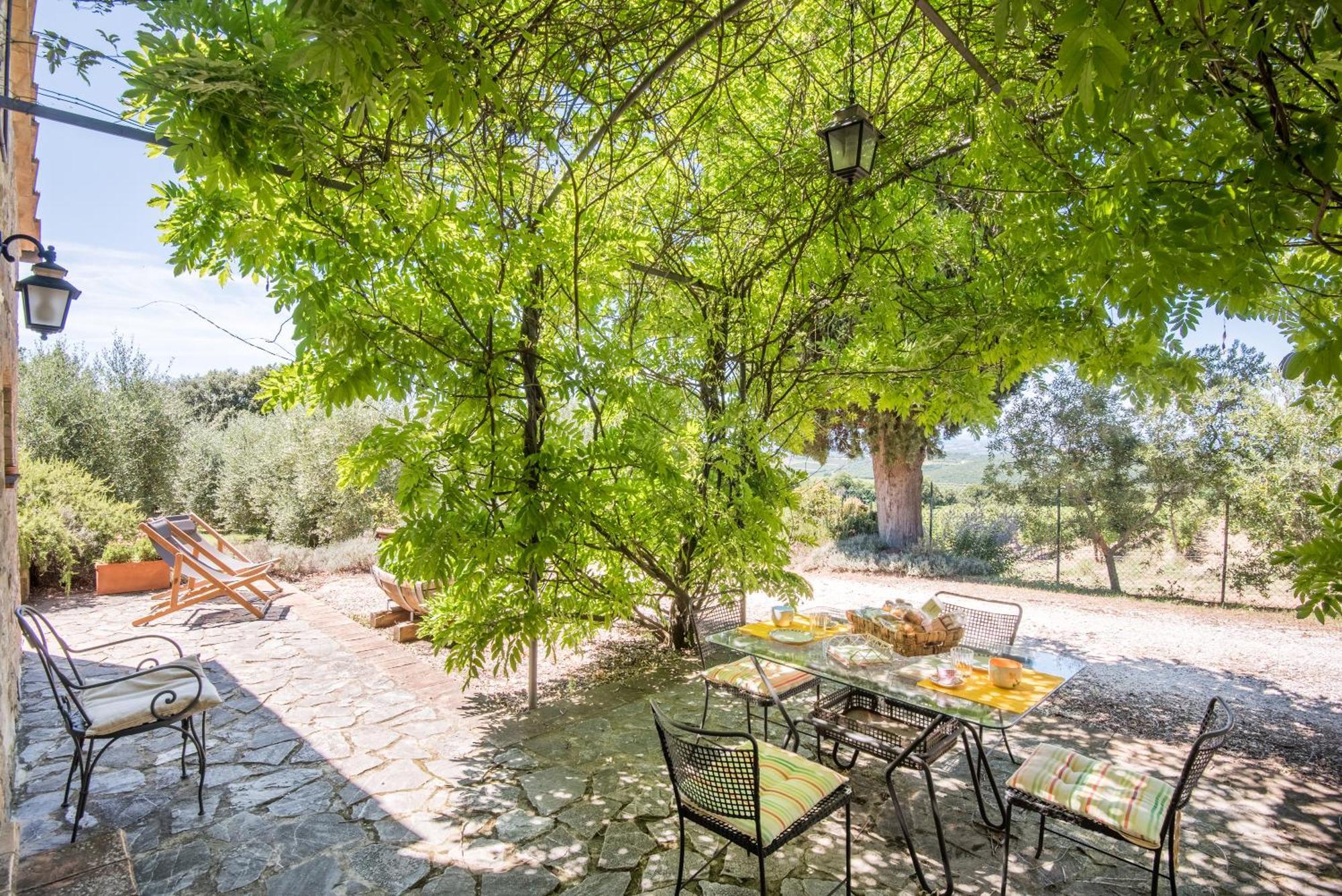 Glicine Apartment Podere Giardino Montalcino Dış mekan fotoğraf